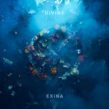DiViNE-packaged version-